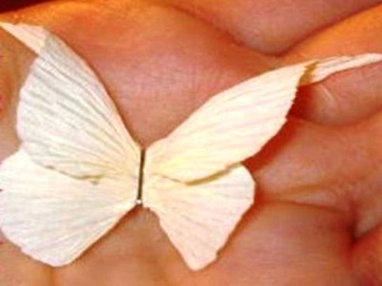 Бабочки из гофрированной бумаги своими руками