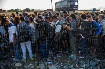 Австрия может объявить чрезвычайное положение из-за беженцев