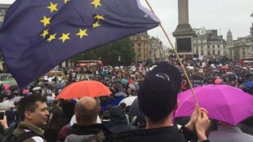 Британцы вышли на демонстрации, протестуя против выхода из ЕC