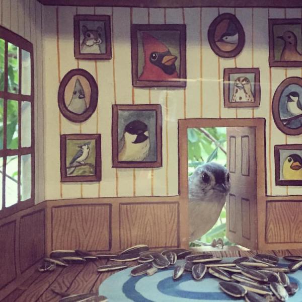 Крошечные птичьи домики-кормушки: внутри как настоящие (ФОТО)