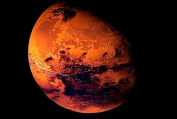 Уфолог нашел на Марсе похожую на ящерицу‍ аномалию (ФОТО)