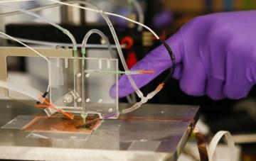 Ученый удачно применил искусственный фотосинтез для очистки воздуха